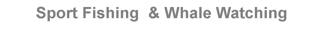 Text Box: Sport Fishing  & Whale Watching